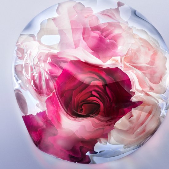 Lancôme La Vie est Belle Rose Extraordinaire eau de parfum - damesgeur - 100 ml