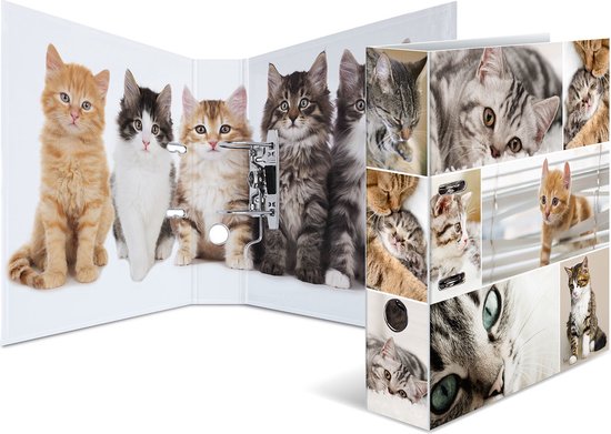 Ordner A4 - Katzen