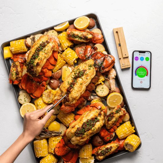 Meater Plus vleesthermometer - draadloos - keukenthermometer