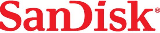 SanDisk USB stick - 32 GB - Zwart