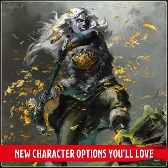 D&D 5.0 Players Handbook - 2024