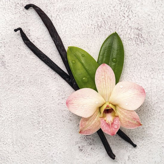 Frozen II gift set - 100 ml eau de toilette + manicure kit