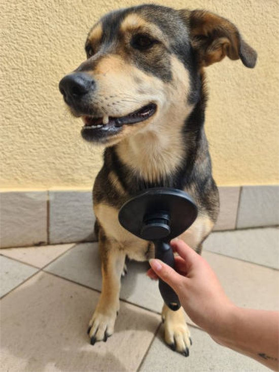 Purlov pet brush - self-cleaning