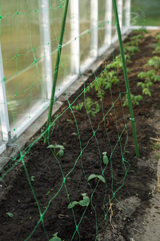 Plantennet set van 2 - steungaas maas 17×15 cm - 10 meter - Groen