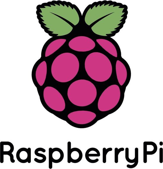 Raspberry Pi 4 behuizing - officieel - Zwart-grijs