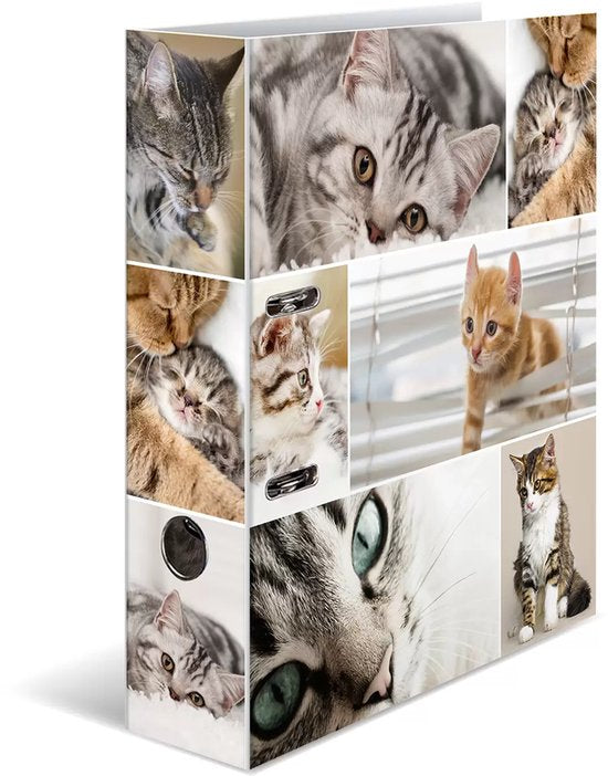 Ordner A4 - Katzen