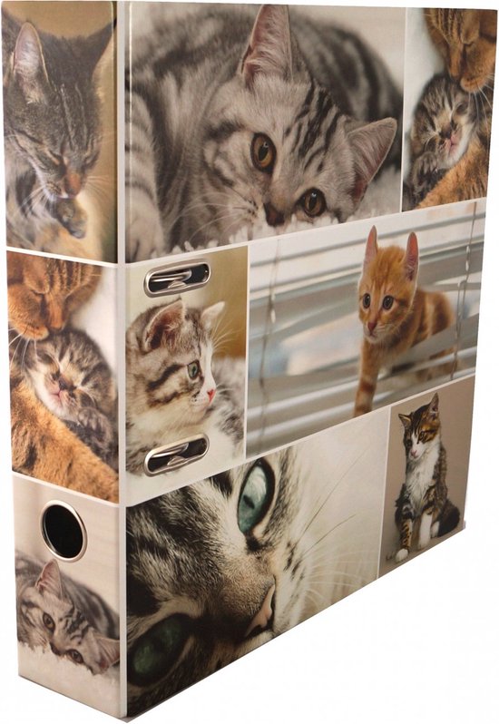 Ordner A4 - Katzen