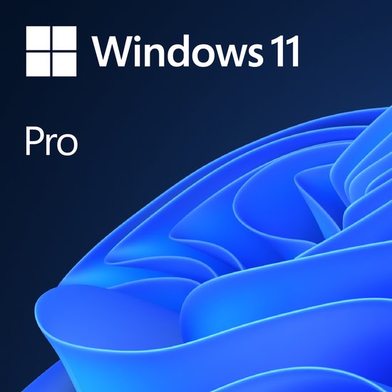 Microsoft Windows 11 Pro - Nederlands - 1 apparaat - PC download