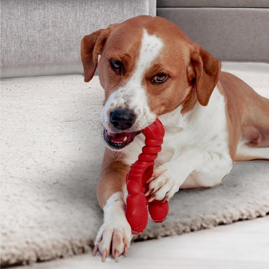 Nylabone hondenspeelgoed - Chew kreeft rundfilet - XL tot 35 kg - Rood