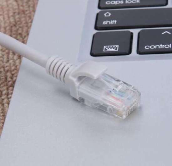 Internetkabel - RJ45-RJ45 - 30 m - Grijs