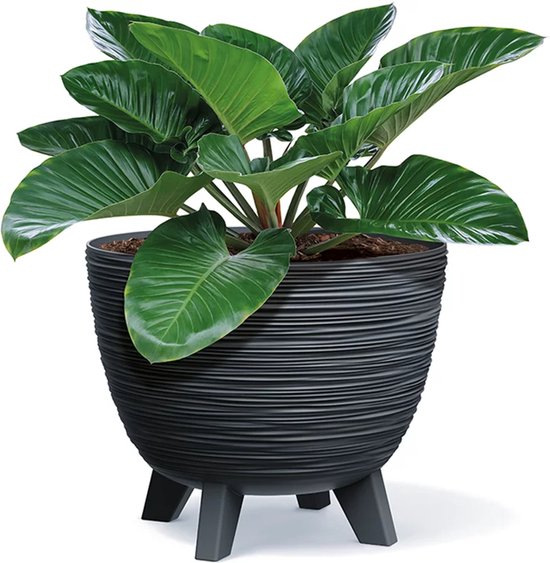Prosperplast Furu Eco Wood-Naturo bloempot - met pootjes ø236 mm - UV-bestendig - Antraciet