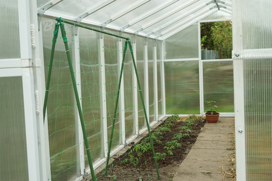 Plantennet set van 2 - steungaas maas 17×15 cm - 10 meter - Groen