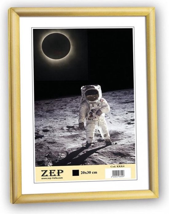 Zep New Easy fotolijst - kunststof A4 21×29,7 cm - Goud