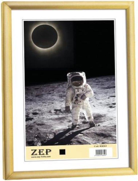 Zep New Easy fotolijst - kunststof A4 21×29,7 cm - Goud