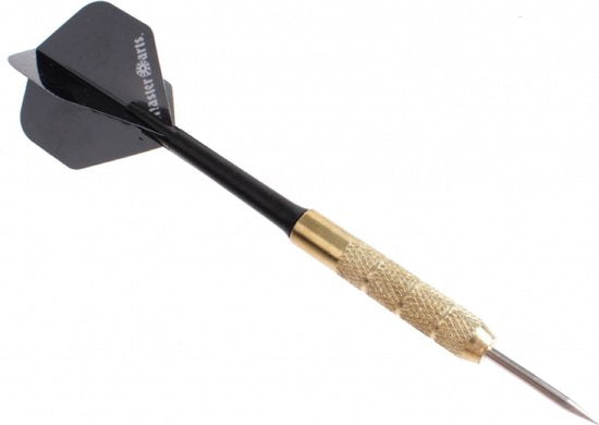 Masterdarts steeltip dartpijlen - 20 gram 14 cm unisex - Zwart